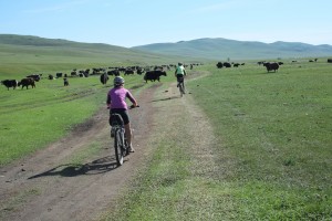 Exploring Mongolia by Bike