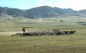 Mongolia Biking Adventure - 14 Day Tour